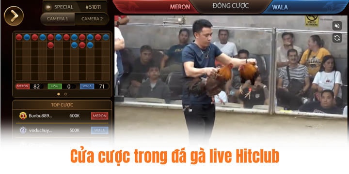Những điều cần biết khi tham gia đá gà live Hitclub